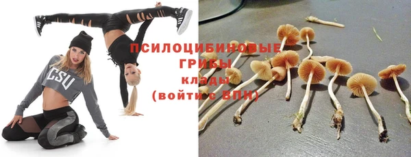 экстази Горняк