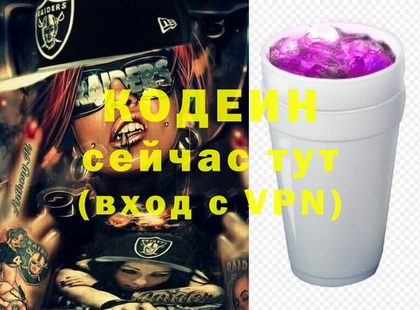 хмурый Горно-Алтайск