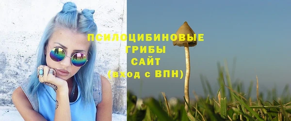 экстази Горняк