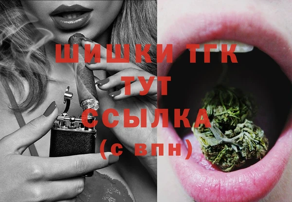 хмурый Горно-Алтайск