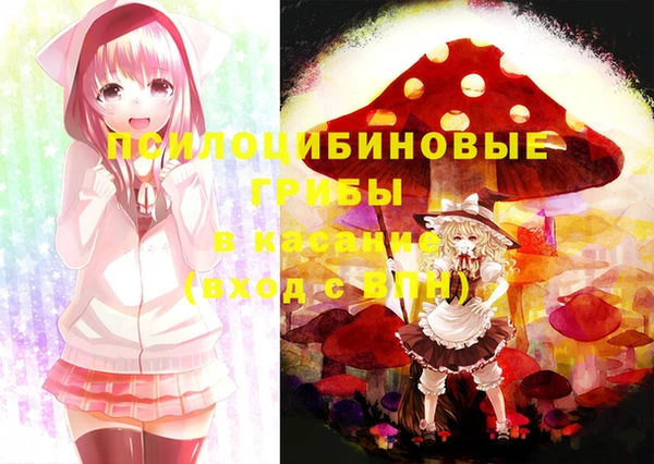 хмурый Горно-Алтайск