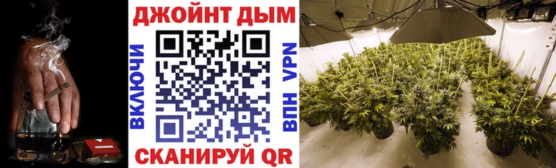 Марихуана план  Купить где  Кинешма 